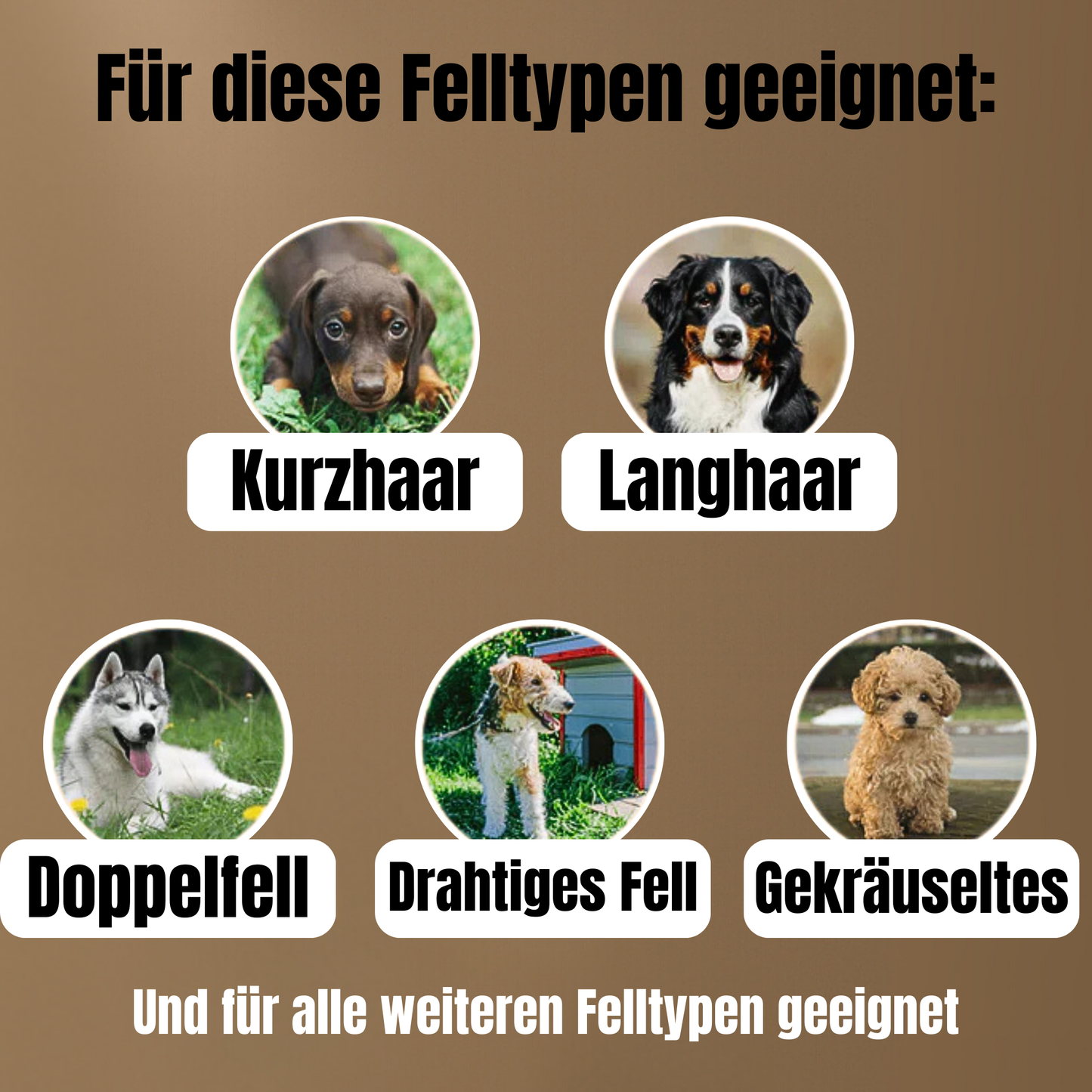 Haar-Frei Pro™